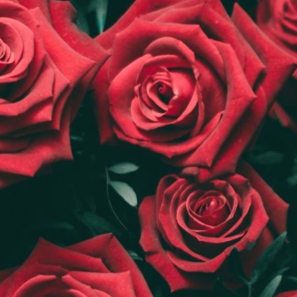 Meet your Posher, Gabriella - Picture 1 of 1